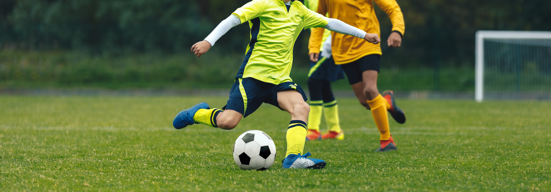 shutterstock 1917144323